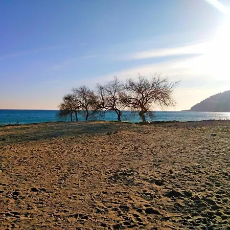Appartamento Vacanze Borgo Faraldi *
