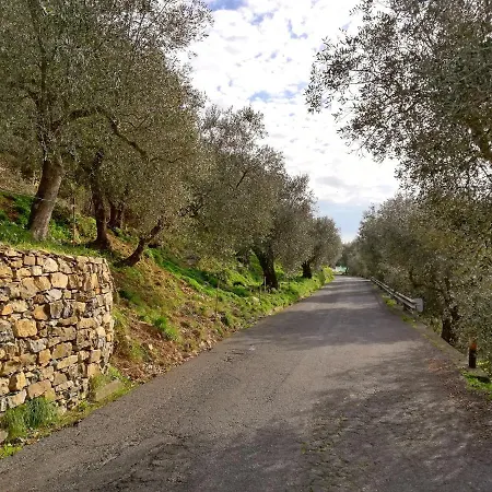 Vacanze Borgo Faraldi Appartamento Villa Faraldi