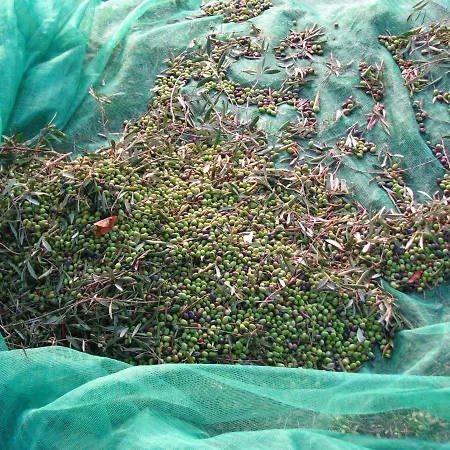 Apartamento Vacanze Borgo Faraldi Villa Faraldi