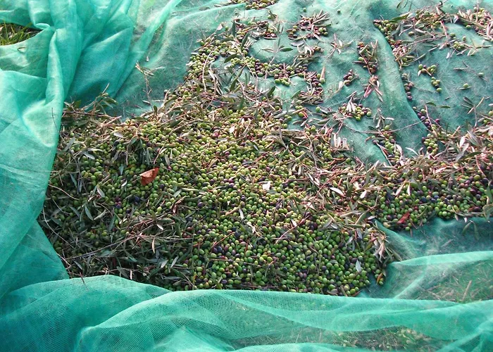 Apartamento Vacanze Borgo Faraldi Villa Faraldi